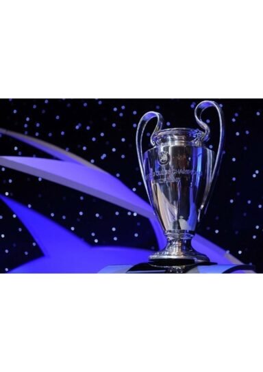 aasdddffff444fDFGH5465-Uefa Şampiyonlar Ligi Kupası 20 Cm