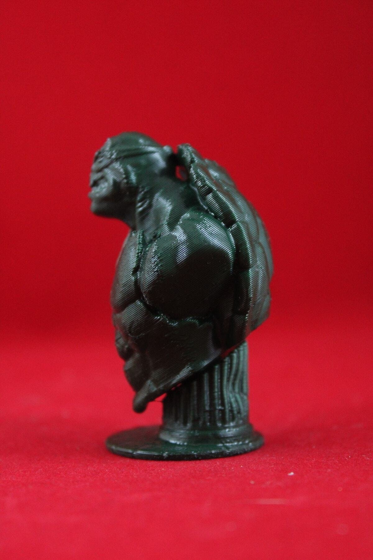 Ninja Kaplumbağa Büst Figür 10 cm - Görsel 3