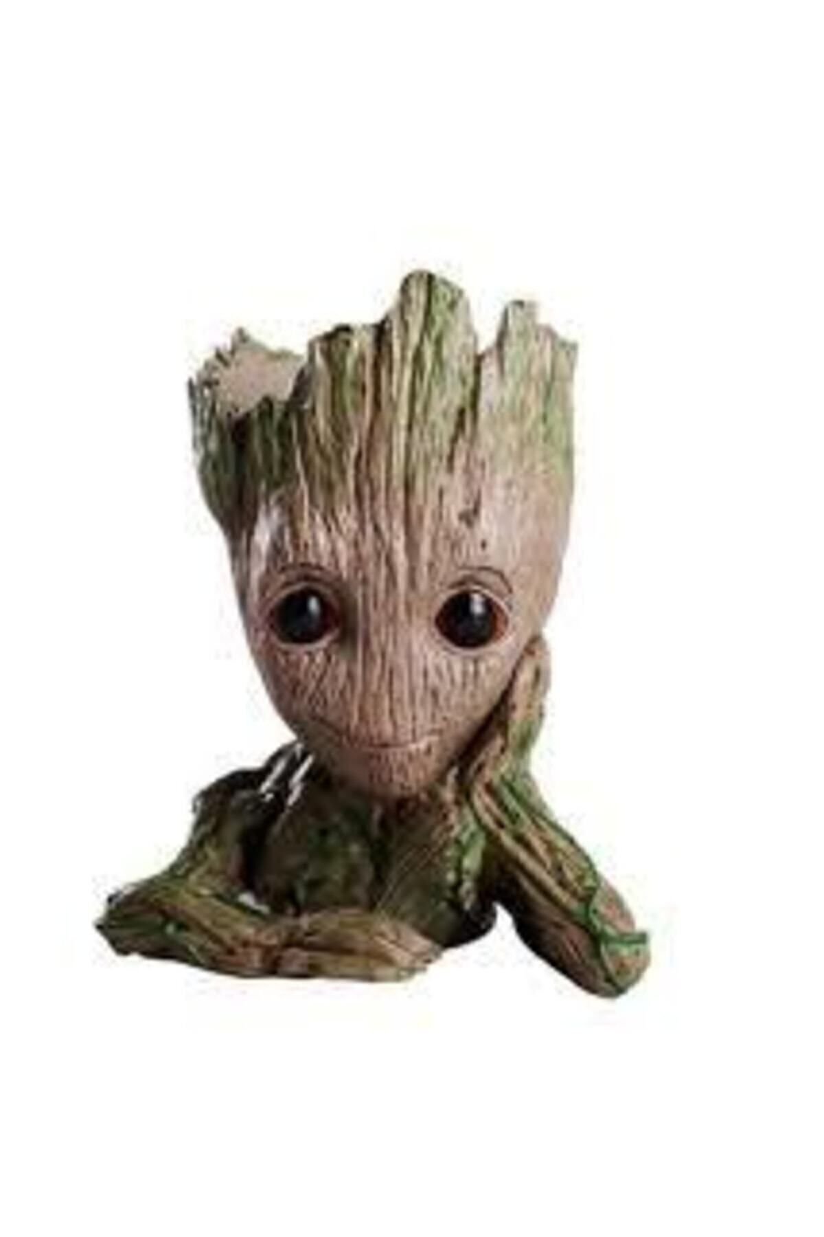 Groot Saksı - Görsel 2