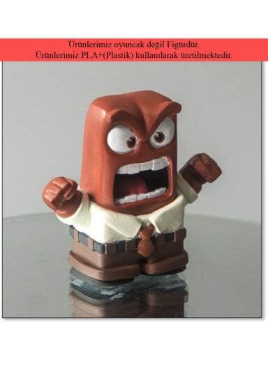 YXH8290PLSKS-ÖFKE - TERS YÜZ | ANGER