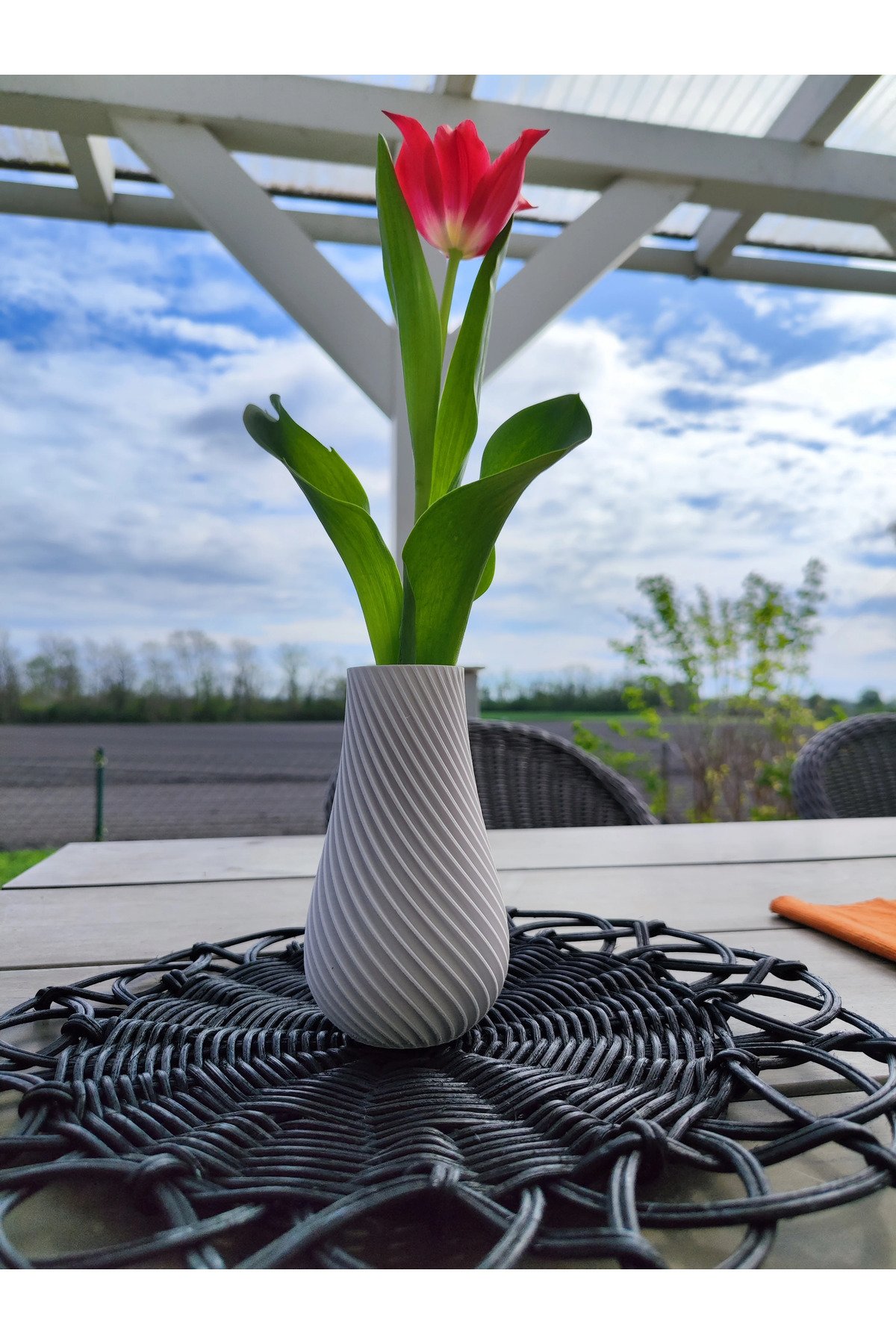 TNC3651VZSDV-Spiral Desen Vazo 17cm